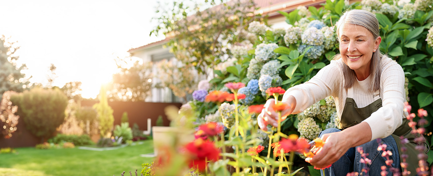 Older woman gardening among colorful flowers